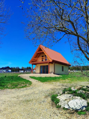 Domek w Lasówce, Lasówka